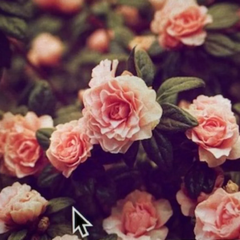 Lulu Guinness London Black Velvet Purse - Picture 11 of 11